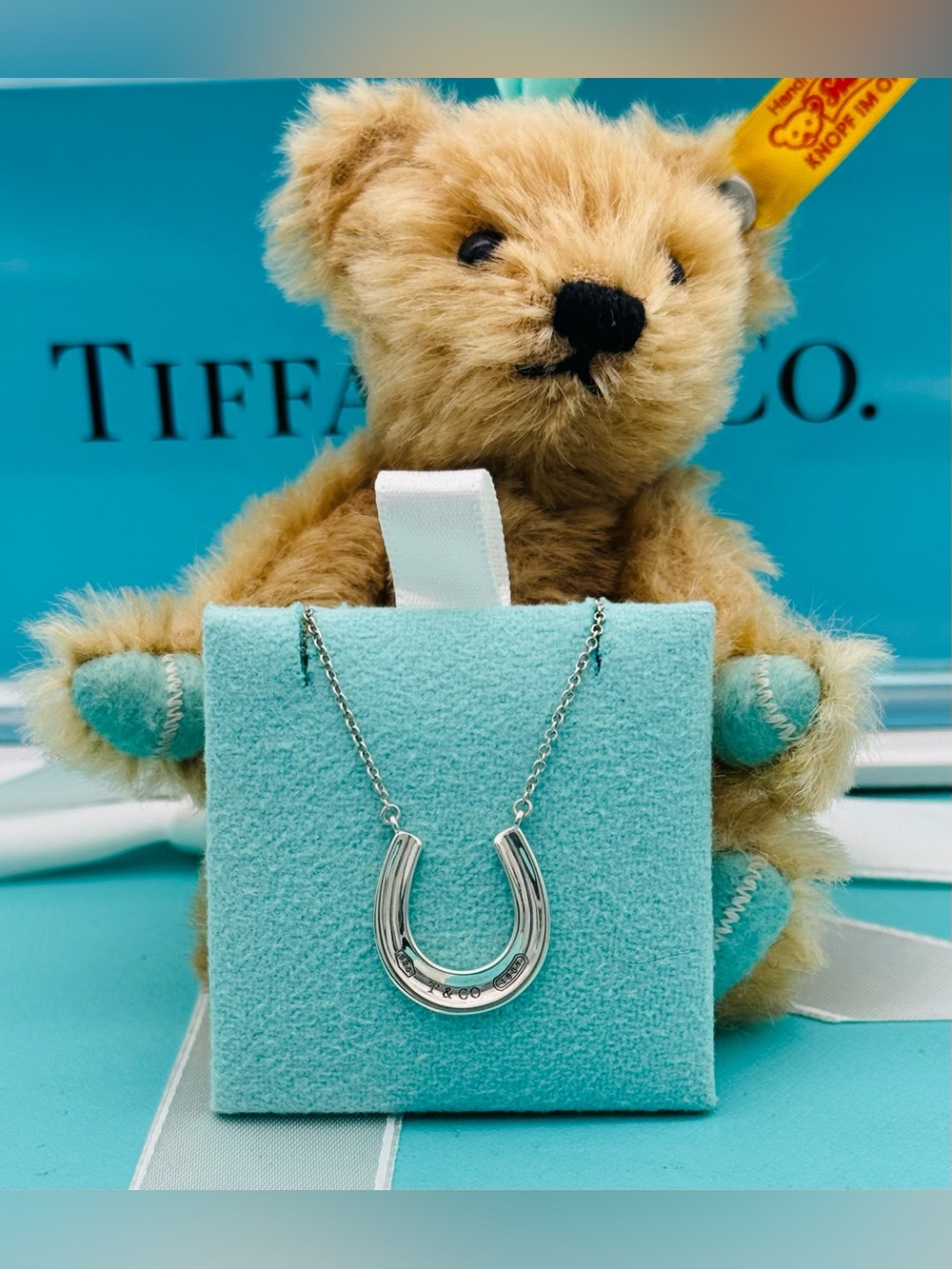 Tiffany & Co. SS Retired 1837 Horseshoe Necklace 18” EUC